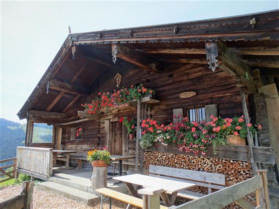 Aussenansicht Sommer 1