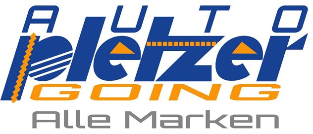 Auto Pletzer_2