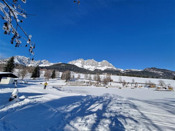Eine wunderschöne Winterlandschaft mit schneebedeckten Feldern und majestätischen Bergen im Hintergrund. Der Himmel ist klar und blau.