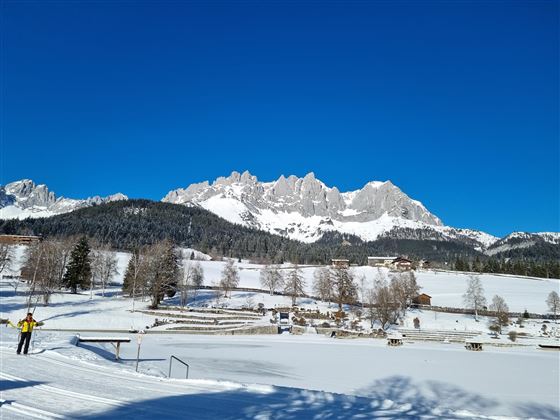 Eine winterliche Landschaft mit schneebedeckten Bergen und blauem Himmel. Im Vordergrund sind schneebedeckte Felder und Bäume zu sehen.