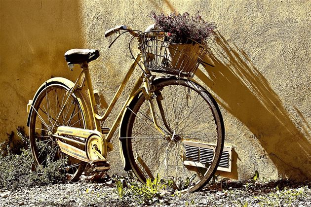 Beispielbild