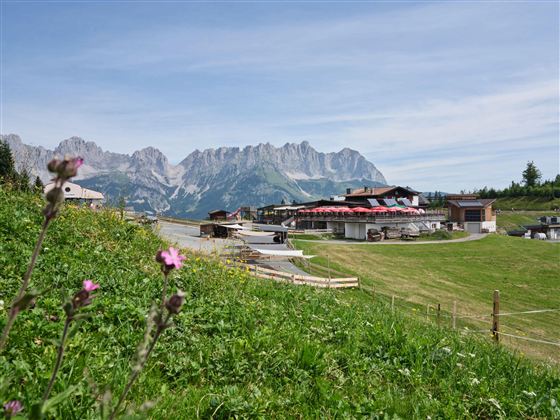 Eine malerische Berglandschaft mit grünen Wiesen und blühenden Blumen. Im Hintergrund sind beeindruckende Berge und einzelne Gebäude zu sehen.