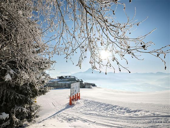 Eine winterliche Landschaft mit schneebedecktem Boden und einem strahlend blauen Himmel. Im Hintergrund sind schneebedeckte Berge und ein örtliches Gebäude sichtbar.