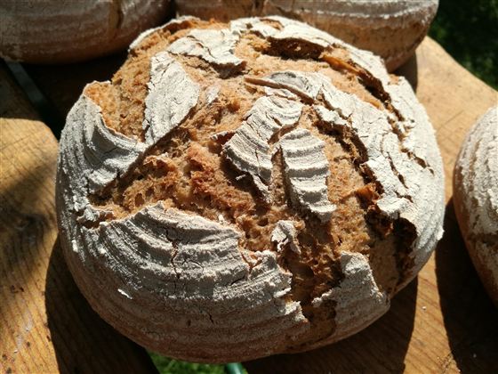 Brot der Bäckerei Auinger
