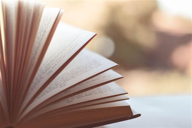 Buch (c) pixabay