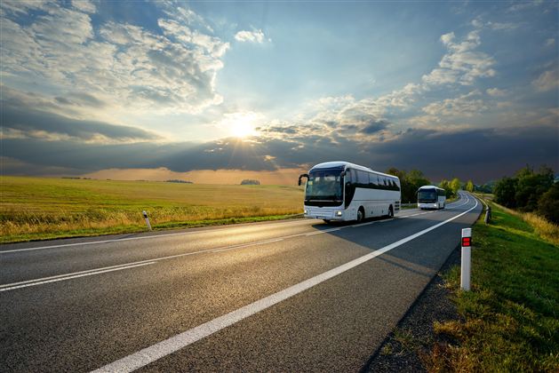 Bus © Shutterstock