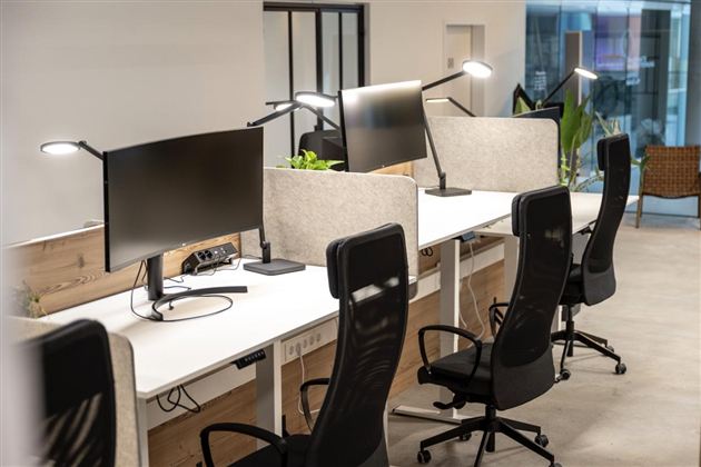 A modern workspace with several desks and computer monitors. The environment is bright and friendly, with plants and stylish office chairs.
