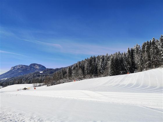 Eine winterliche Landschaft mit schneebedeckten Feldern und einem klaren blauen Himmel. Im Hintergrund sind Wälder und Berge zu sehen.