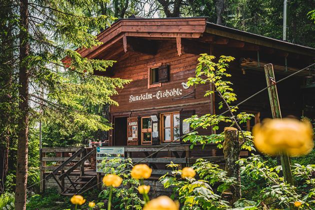 A cozy wooden cabin surrounded by trees and flowers. The cabin has large windows and an inviting porch.