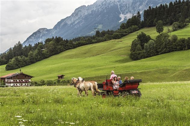 Ellmau_Kutschenfahrt Sommer 3_Wilder Kaiser