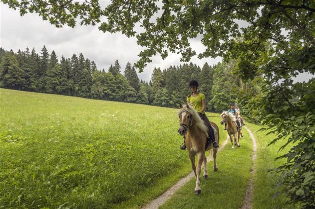 Ellmau_Reiten_Wilder Kaiser