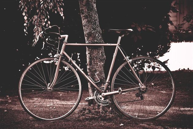 Fahrrad (c)pixabay