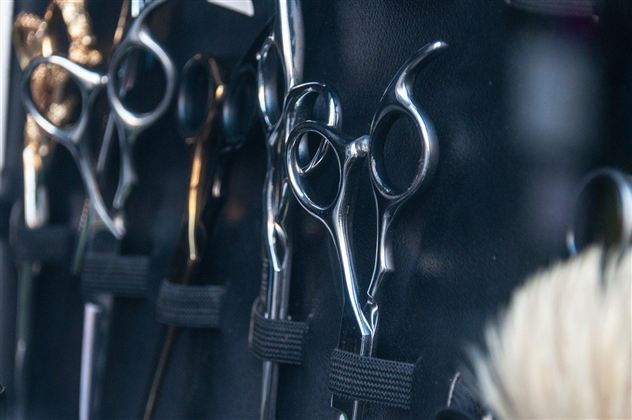 A series of hairdressing scissors hangs on a wall. The scissors are variously shaped and shine in the light.
