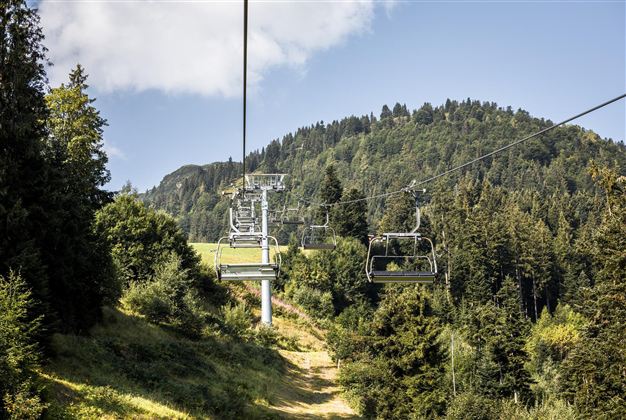 Gaisberg im Sommer