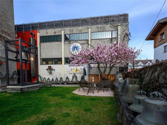Ein schöner Garten mit einer blühenden Magnolie und einer Sitzgelegenheit. Im Hintergrund ist ein modernes Gebäude mit einer bunten Fassade.
