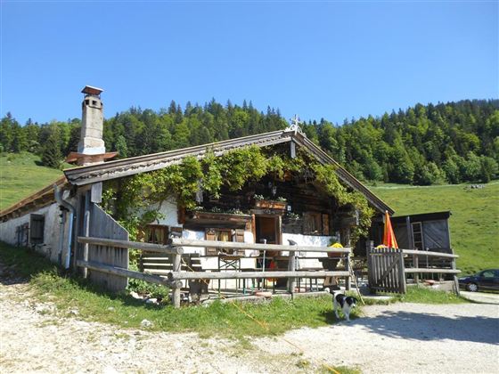 Goglalm Erl