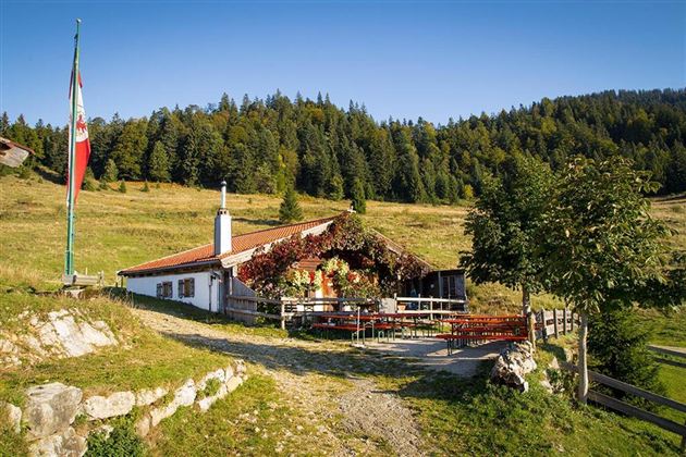 Goglalm im Herbst