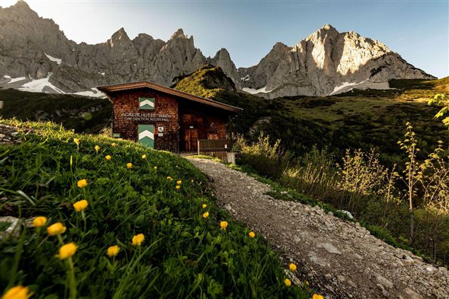 Eine gemütliche Hütte steht vor beeindruckenden Bergen. Der Weg zur Hütte ist von grünem Gras und bunten Blumen umgeben.