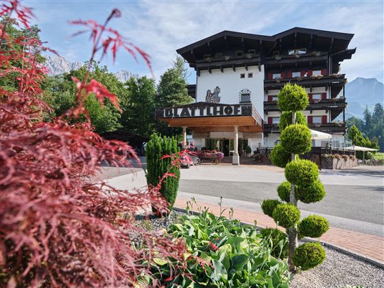 Ein charmantes Hotel mit einem schönen Außenbereich und gepflegten Pflanzen. Die Umgebung ist grün und einladend, ideal für einen entspannenden Aufenthalt.