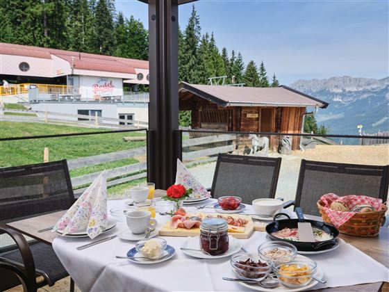 Ein schön gedeckter Frühstückstisch mit verschiedenen Leckereien. Im Hintergrund sind Berge und eine Berghütte zu sehen.