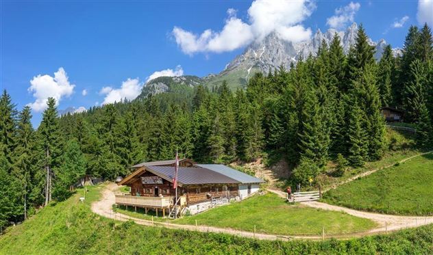 Going_Graspoint Niederalm_Sommer_Wilder Kaiser (3)