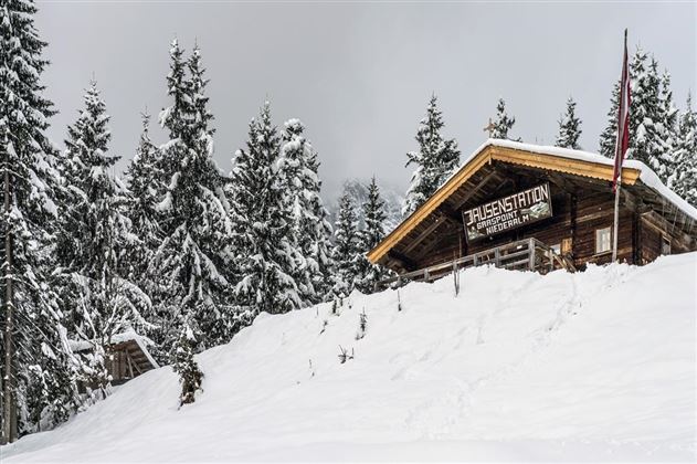 Eine charmante Berghütte in einer schneebedeckten Landschaft. Umgeben von hohen, verschneiten Tannenbäumen unter einem bewölkten Himmel.