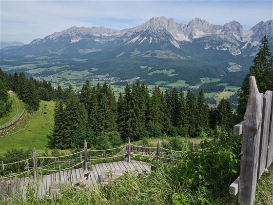 A stunning mountain landscape with towering peaks and green forests. In the foreground is a wooden railing that opens up the view of the surrounding nature.