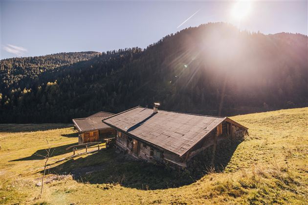 Haagalm Herbst @ Region Hohe Salve-Maximilian Gier