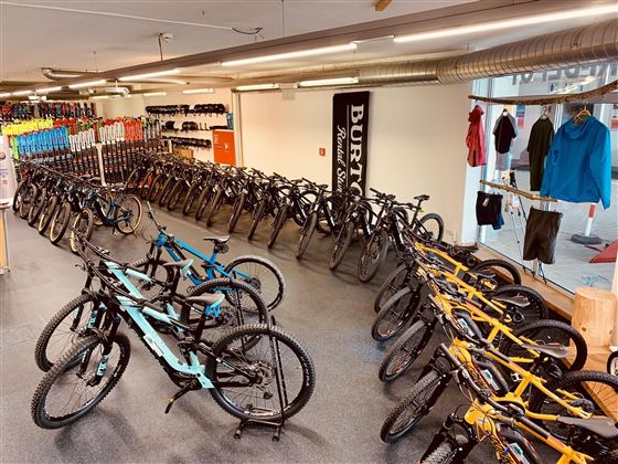 Hansis Sport- & Mietcenter_Sommer_E-Bike-Verleih2
