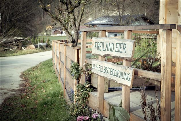 Heimstätterhof Langkampfen Eier ab Hof