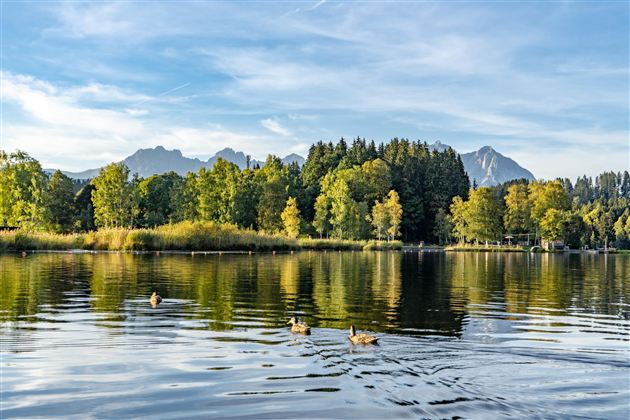 Herbst