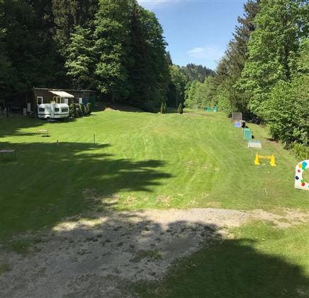 Hunde 2 @Region Hohe Salve -Christina Aufschnaiter