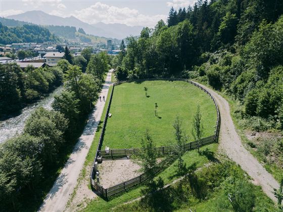 A green meadow with a fenced area, surrounded by trees and a river. In the background, mountains and a small settlement are visible.