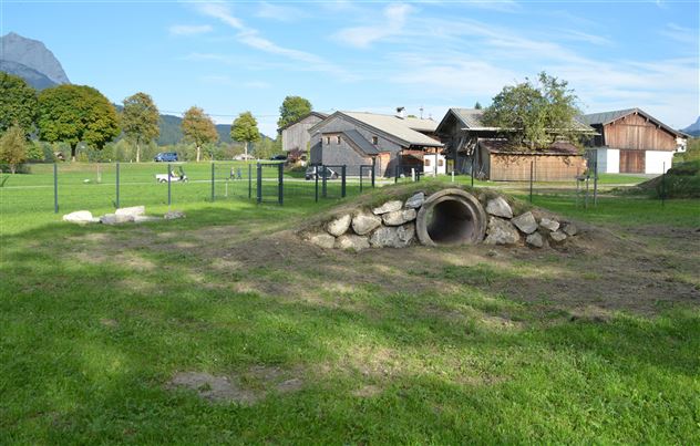 Hundewiese Heimatmuseum