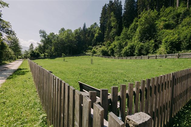 A large, green field surrounded by a wooden fence. In the background, trees and a clear sky can be seen.