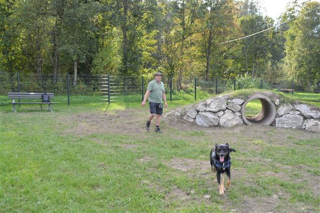 Hundewiese Hund