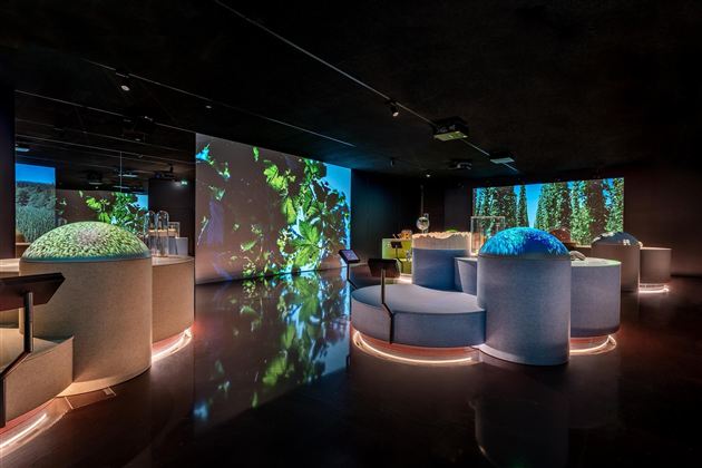 Een moderne binnenhuisinrichting met projecties van planten op de muren. De meubels zijn rond en helder verlicht.