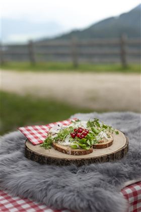 Een rustiek houten bord met belegde broodjes, gegarneerd met verse groenten en granaatappelzaadjes. Op de achtergrond is een natuurlijke, landelijke scène te zien.