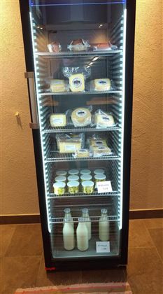 Käse-Kühlschrank
