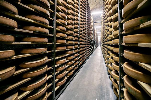 Een kaasrek met veel ronde kaaswielen die netjes gestapeld zijn. De ruimte is goed verlicht en biedt een lange gang tussen de rekken.