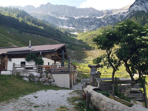 Kaiseralm_Scheffau_TVB Wilder Kaiser