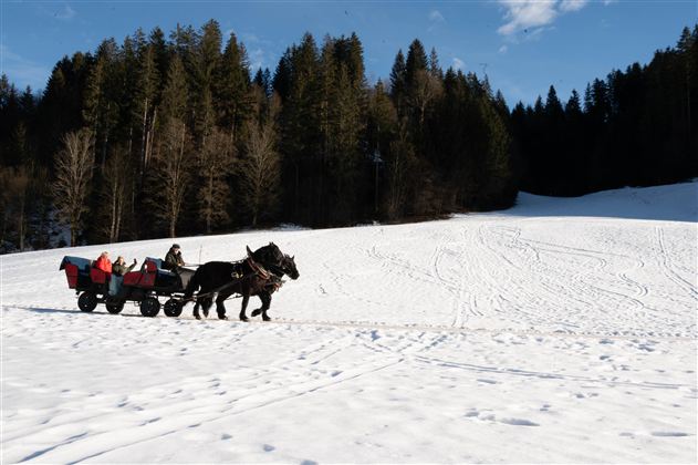 Kutschenfahrt @Region Hohe Salve -Larissa Weiskopf