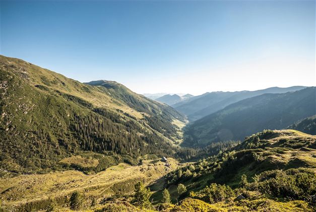Landschaft