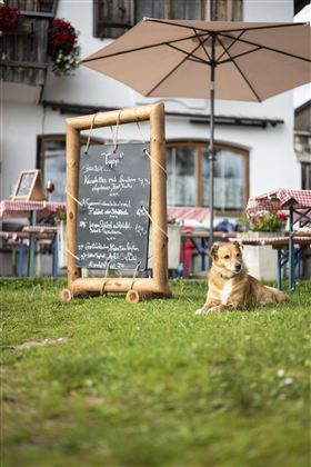 Een hond zit op het gras voor een restaurant met een bord dat het dag-aanbod toont. Daarachter zijn tafels met rode tafelkleden en een parasol te zien.