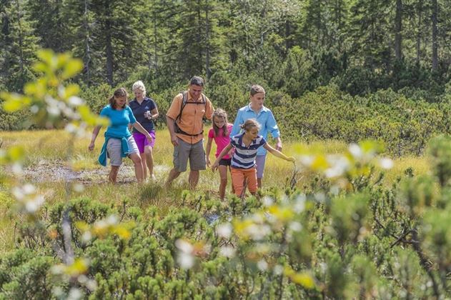 Moorwanderung