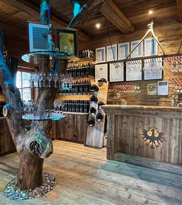 Een rustieke bar van hout met een unieke boom als tafelstandaard. Aan de muur hangen verschillende onderscheidingen en flessen.