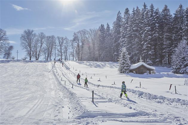 A wintry ski slope with snow and fir trees. Some skiers are enjoying the slope under a sunny sky.