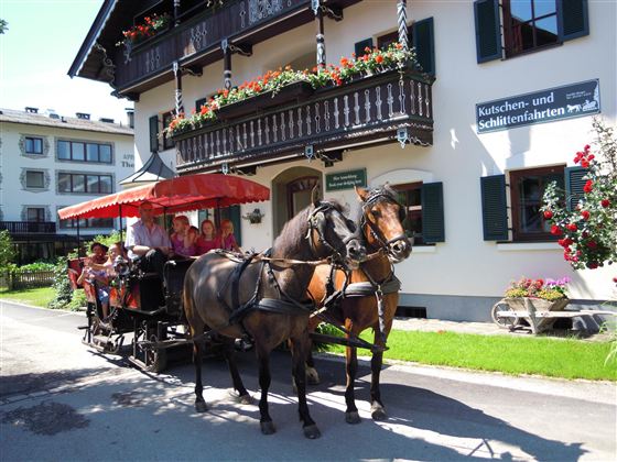 Pferdeschlitten Sommer