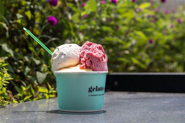 A cup with two scoops of gelato, one white and one pink. In the background, green plants can be seen.