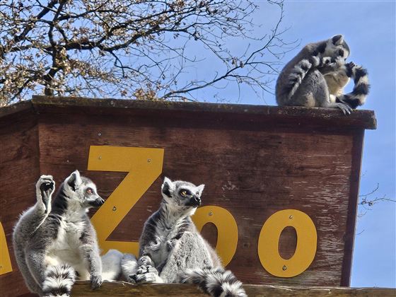 Raritätenzoo Ebbs 3